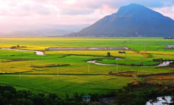 “Ngọn núi trời đánh” ở Phú Yên có một đặc sản nổi tiếng mà không phải ai cũng biết, là đặc sản gì?
