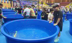 Đủ loại 'cá nhà giàu' đua nhau khoe dáng ở TP.HCM, có con dài hơn 1m