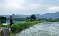 Một xã ở Tuyên Quang, 50 năm dân chỉ nuôi cá dày đặc dưới ao mà khá giả, xây nhà lầu khang trang