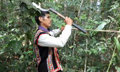 Vô rừng ở Đắk Nông, dân chặt thứ dây, loại lá từ cây mọc hoang dại về làm món đặc sản hễ ăn là mê