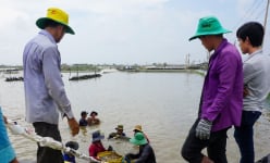 Con vật nuôi chủ lực ở nhiều tỉnh ĐBSCL, trong đó có Sóc Trăng, 'sóng gió' còn kéo dài tới khi nào?