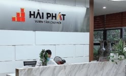 Đầu tư Hải Phát (HPX) muốn chào bán hơn 152 triệu cổ phiếu, giá cao hơn 44% thị giá