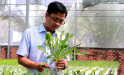 Tỷ lệ giá trị sản phẩm nông nghiệp TP.HCM sản xuất, tiêu thụ trong chuỗi liên kết đạt trên 40% vào năm 2030