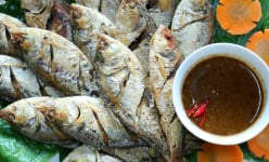 Con đặc sản này chỉ có ở Hưng Yên, được ví là đặc sản trời cho trên sông Hồng, xưa đầy nay hiếm