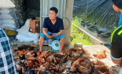 Nghệ An: Hệ thống điện gặp sự cố, 5.000 con gà chết la liệt, người dân xúm vào mua ủng hộ chủ trang trại