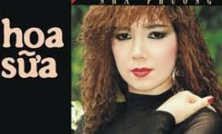 Chuyện Nhã Phương chế lời bài hát “Hoa sữa” năm 1986 và phản ứng bất ngờ của nhạc sĩ Hồng Đăng khi biết chuyện
