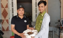 Vô tình đụng trúng một con động vật hoang dã có tên trong sách Đỏ, một người dân Kon Tum nộp cho kiểm lâm