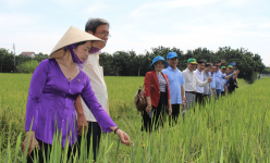 Hội Nông dân tỉnh Đồng Nai: Phát huy vai trò của nông dân từ phong trào sản xuất, kinh doanh giỏi