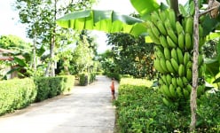 Một làng ở Hà Tĩnh, chưa phải làng du lịch, chả có di tích, kỳ quan mà đẹp kiểu này khiến ai cũng muốn đến