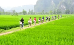 Du lịch Ninh Bình: Đạp xe và chèo thuyền là tour trải nghiệm tuyệt vời nhất thế giới