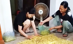 Con động vật chưa 'chuyển kiếp' này bò lổm ngổm một rổ, dân Phú Thọ nuôi làm đặc sản hút hàng ở Vĩnh Phúc
