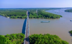 Một 'kho báu' nằm trong các khu rừng ven biển vẫn chưa được đánh thức