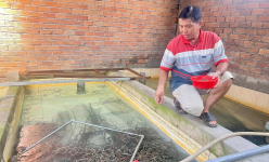 Anh nông dân Cần Thơ nuôi thành công 2 loài vật bơi, lặn giỏi, bán làm đặc sản bình dân mà giàu lên