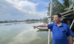 Nuôi tôm, nuôi cua đếm chả xuể, một người Bình Định được bình chọn là Nông dân Việt Nam xuất sắc 2024