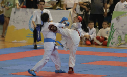 Từ vụ tố 'nhường' huy chương Karate: Nỗi đau cho hai đứa trẻ