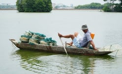 Ở một nơi của Bà Rịa-Vũng Tàu, dưới tán rừng, dân nuôi tôm theo kiểu này, cứ bắt lên ai cũng muốn mua