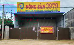 Dân tấp nập cắt 'quả tiền tỷ', tại sao hàng loạt kho sầu riêng ở Đắk Lắk 'cửa đóng then cài' lạ thường?