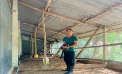 Con động vật đẹp mã có tên trong sách Đỏ được anh nông dân Phú Yên nuôi thành công, bán 2 triệu/cặp