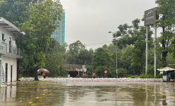Đại lý ô tô ở Hà Nội ứng phó mưa ngập bằng hàng chục khối cát, di tản xe khẩn