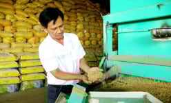 Một tỷ phú lúa giống ở Cần Thơ 2 lần được bình chọn là Nông dân Việt Nam xuất sắc, bán 1.000 tấn lúa giống/năm