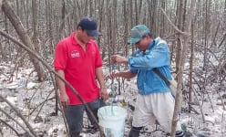Săn con động vật kỳ lạ nhất hành tinh trong một khu rừng ở Cà Mau ly kỳ, hồi hộp, lôi cuốn