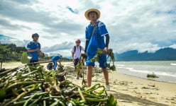 Cảm phục những bạn trẻ 'đội nắng' vớt bèo dạt vào bờ biển Đà Nẵng sau bão số 4