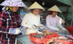 Vùng đất mang tên Đồng Tháp Mười ở Long An sao lại ví là nơi cá tôm sẵn bắt, lúa trời sẵn ăn?