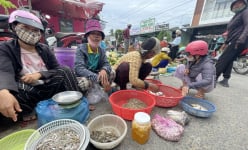 Chợ chiều ở một nơi của Gia Lai, chiều ra thấy bán la liệt đặc sản, rau rừng, ăn ngon mà giá lại 'hạt dẻ'