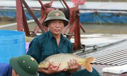 Nông dân Việt Nam xuất sắc 2024 đến từ Bắc Ninh là một tỷ phú nuôi cá đặc sản to bự trên sông Đuống