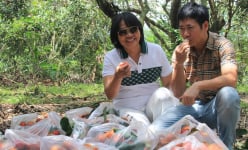 Vô một vườn trái cây đặc sản ở Khánh Hòa, dân tình tha hồ bẻ quả ngon ăn, bận áo phao ra suối chèo thuyền