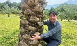 Làm du lịch nông nghiệp mới lạ, doanh thu 40 tỷ, một người Phú Thọ là Nông dân Việt Nam xuất sắc 2024