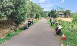 Bức tranh nông thôn mới Bình Phước: Đường làng, lối phố, nhà dân ngày càng khang trang, sạch đẹp (Bài 2)