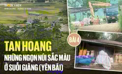 Lập chốt liên ngành, canh giữ 24/7 đá cảnh Suối Giàng, vì sao vẫn chưa hiệu quả? (Bài 4)