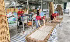 Tín dụng Ngân hàng chính sách xã hội trợ lực cho Hà Nam phát triển kinh tế bền vững