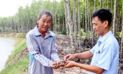 Đây là con vật 'sống chậm' trong rừng ở Trà Vinh, dân chả phải cho ăn, thấy lơn lớn bắt bán 100.000 đồng/kg