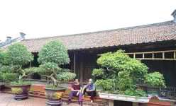 Làng này ở Hà Nam còn các nhà cổ đẹp như phim, bước vô thấy nội thất ai cũng trầm trồ