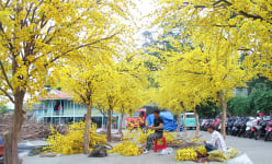 Lễ hội Tết Việt được mong chờ nhất TP.HCM sắp diễn ra, các công đoạn cuối cùng đang hoàn tất