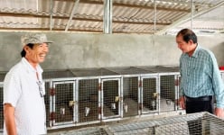 Loại thú này vốn là động vật hoang dã, ông nông dân Vĩnh Long nuôi thành công, bán cao nhất 2,5 triệu/kg