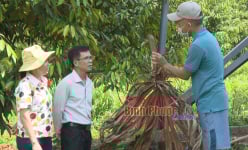 Loài thú hoang dã bay như chim, chỉ tốn tiền làm chuồng, chả phải cho ăn, nuôi thành công ở Bình Phước