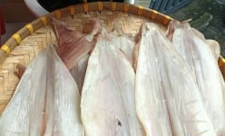 Đây là loại cá khô lắm râu vừa tăng giá 'cái vù' ở Bà Rịa-Vũng Tàu, hễ bán 1kg, dân thu về hơn 1,7 triệu