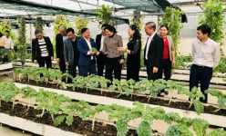 Tỷ phú Bắc Ninh nuôi cá đặc sản, trồng hoa, trồng cây cảnh tạo việc làm, thu nhập tốt cho lao động