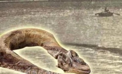5 'quái vật' gây ám ảnh nhất Việt Nam: Có con thật sự tồn tại trên đời