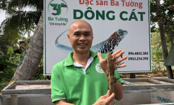 Nuôi con động vật đặc sản trên cát trắng, một nông dân Bình Thuận bán 1,5 triệu/kg, khách cứ hỏi có còn không 