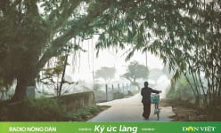 Nhớ những cái Tết rét mướt năm xưa