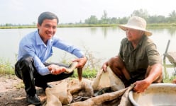 Nuôi 2 loài cá đặc sản chung một ao, bắt con nào lên bán hết con đó, một nông dân Đồng Tháp phát tài