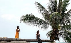 Một hòn đảo đẹp như phim ở Kiên Giang, có cây dừa sống nằm dài trên đá khiến thiên hạ tò mò