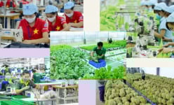 Thúc đẩy sản xuất xanh hướng đến năng suất xanh