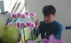 Trồng 'hoa quý tộc' giàu đã đành, ở một thành phố của Nghệ An ngồi nhà làm việc này cũng ra 100 triệu