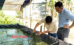 Bỏ lương cao ở phố về quê Bình Phước đào ao nuôi 3 loài cá đặc sản, cả làng đến xem