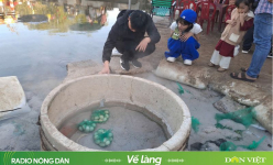 Khám phá bí ẩn dòng suối nóng nhất Việt Nam có thể luộc chín trứng
